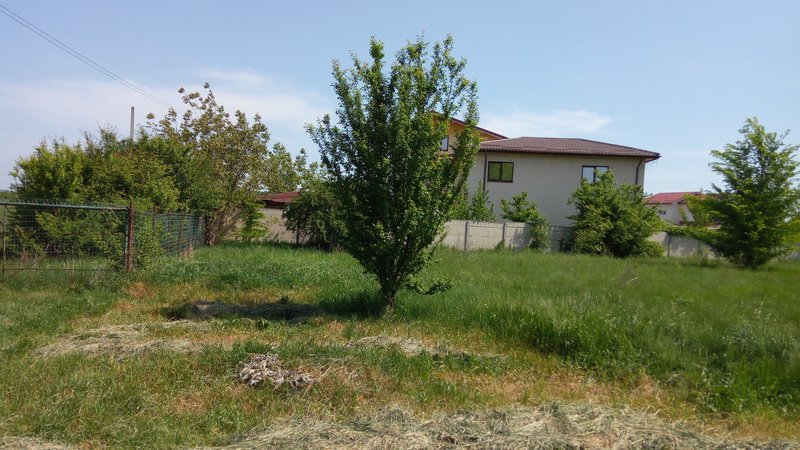 Mogosoaia, str. Ariei, nr. 2, particular,